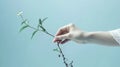 A hand holding a leafy green plant