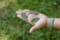 Hand holding leaves, save the planet concept