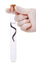 Hand holding a leech in a flask Royalty Free Stock Photo
