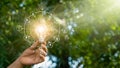 Hand holding light bulb against nature on green forest with icons energy sources for renewable, sustainable development. Ecology Royalty Free Stock Photo