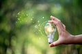 Hand holding light bulb against nature on green leaf with icons energy sources for renewable, sustainable development. saving Royalty Free Stock Photo