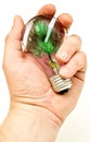 Hand Holding Light Bulb with Artificial Tree Royalty Free Stock Photo