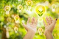 Hand holding light bulb energy with small tree growing over nature green background