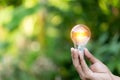 Hand holding light bulb,energy sources for renewable,natural energy concept Royalty Free Stock Photo