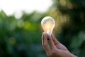 Hand holding light bulb,energy sources for renewable,natural energy concept Royalty Free Stock Photo