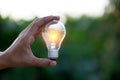 Hand holding light bulb,energy sources for renewable,natural energy concept Royalty Free Stock Photo