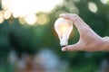 Hand holding light bulb,energy sources for renewable,natural energy concept Royalty Free Stock Photo