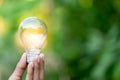 Hand holding light bulb,energy sources for renewable,natural energy concept Royalty Free Stock Photo