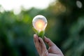 Hand holding light bulb,energy sources for renewable,natural energy concept Royalty Free Stock Photo