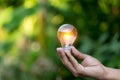 Hand holding light bulb,energy sources for renewable,natural energy concept Royalty Free Stock Photo