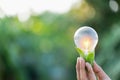 Hand holding light bulb,energy sources for renewable,natural energy concept Royalty Free Stock Photo