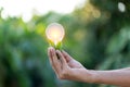 Hand holding light bulb,energy sources for renewable,natural energy concept Royalty Free Stock Photo