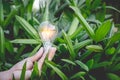 Hand holding light bulb,energy sources for renewable Royalty Free Stock Photo