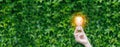 Hand holding Light bulb with light flare green nature background. eco innovation environmental and creative concepts. Royalty Free Stock Photo