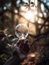Hand holding a light bulb in the forest Royalty Free Stock Photo