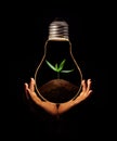 Hand holding a light bulb with fresh green leaves inside, isolated on black background Royalty Free Stock Photo