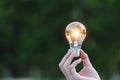 Hand holding light bulb in garden green nature background Royalty Free Stock Photo