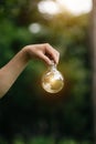 Hand holding light bulb on grass with solar energy and green background. power eco concept Royalty Free Stock Photo