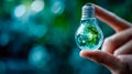 Hand holding light bulb with green leaf inside, representing renewable energy, eco innovation, and sustainable future Royalty Free Stock Photo