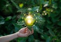 Hand holding light bulb on green nature with icons