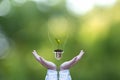 Hand holding on light bulb with green plant inside for saving earth, nature green background.