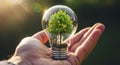 Hand Holding Light Bulb with Green Tree Inside Natural Setting Royalty Free Stock Photo