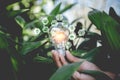 Hand holding light bulb with icons energy sources for renewable,natural energy Royalty Free Stock Photo