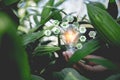 Hand holding light bulb with icons energy sources for renewable,natural energy Royalty Free Stock Photo