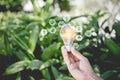 Hand holding light bulb with icons energy sources for renewable,natural energy Royalty Free Stock Photo