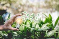 Hand holding light bulb with icons energy sources for renewable,natural energy Royalty Free Stock Photo