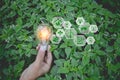 Hand holding light bulb with icons energy sources for renewable,natural energy Royalty Free Stock Photo