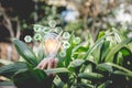 Hand holding light bulb with icons energy sources for renewable,natural energy Royalty Free Stock Photo