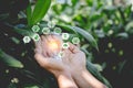 Hand holding light bulb with icons energy sources for renewable,natural energy Royalty Free Stock Photo