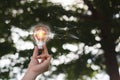 Hand holding Light bulb with light flare blur bokeh nature background. eco innovation environmental and idea creative concepts Royalty Free Stock Photo