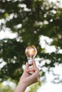 Hand holding Light bulb with light flare green nature background. eco innovation environmental and creative concepts Royalty Free Stock Photo