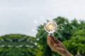 Hand holding light bulb nature background with energy power icons. Royalty Free Stock Photo