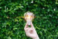 Hand holding light bulb nature background with energy power icons. Energy power electric environment from nature concept Royalty Free Stock Photo