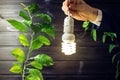 Hand holding light bulb next to the green tree Royalty Free Stock Photo