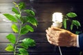 Hand holding light bulb next to the green tree Royalty Free Stock Photo