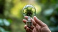 Hand holding light bulb with small plant growing inside against green background Royalty Free Stock Photo