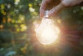 Hand holding light bulbs with glowing on nature background. Idea Royalty Free Stock Photo