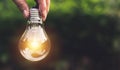 Hand holding light bulbs with glowing on nature background. Idea, creativity and saving energy with light bulbs Royalty Free Stock Photo