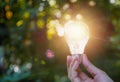 Hand holding light bulbs with glowing on nature background. Idea Royalty Free Stock Photo