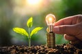 hand holding lightbulb money stack and young plant in nature. idea saving energy and accounting finance concept