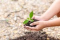 Hand holding little tree in soil. agriculture and save the world concept Royalty Free Stock Photo