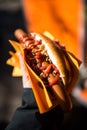 Hand holding a long sausage sandwich Royalty Free Stock Photo