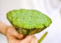 Close up of Hand Holding Lotus Seed Pods Isolated on White Background