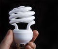 Hand Holding Low Energy Lightbulb