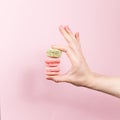 Hand holding macaroons Royalty Free Stock Photo