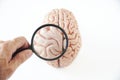 Magnifying glass and brain model on white background Royalty Free Stock Photo